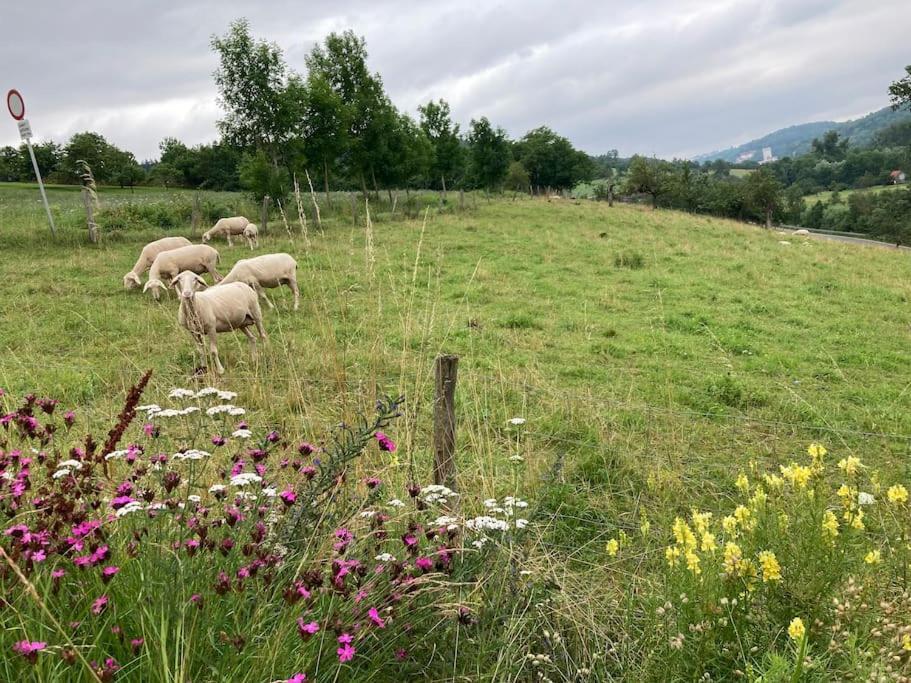 Ferienwohnung Niederstetten Luaran gambar